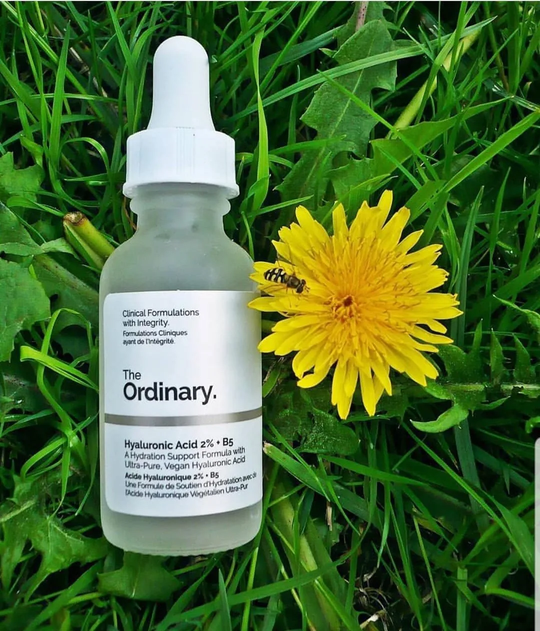 The Ordinary Hyaluronic Acid The Ordinary Hyaluronic Acid