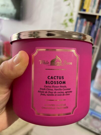 White Barn Cactus Blossom Scented Candle